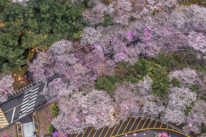 Summary of South Korea April Celebrations